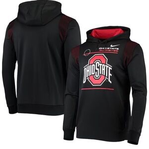 Nike Black Ohio State Buckeyes 2021 Team Sideline Performance Pullover Hoodie M